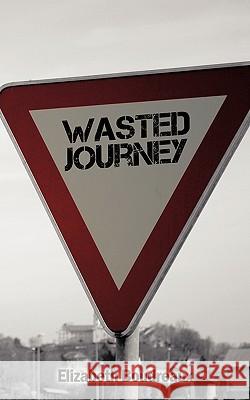 Wasted Journey Elizabeth Boudreaux 9781452050812