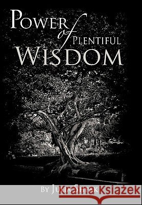 Power of Plentiful Wisdom Julia Shpak 9781452064758
