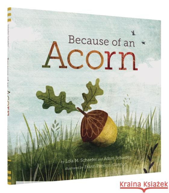 Because of an Acorn Adam Schaefer 9781452112428 Chronicle Books