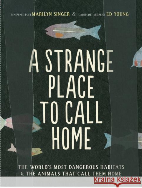 A Strange Place to Call Home: The World's Most Dangerous Habitats & the Animals That Call Them Home Singer, Marilyn 9781452141251 Chronicle Books (CA)