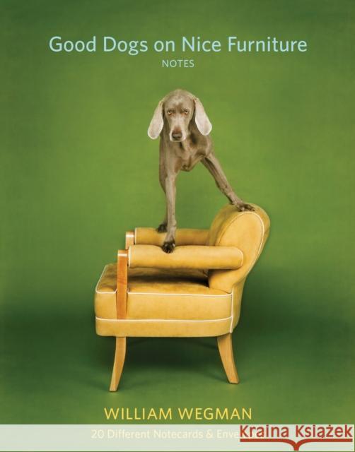 Good Dogs on Nice Furniture Notes: 20 Different Notecards & Envelopes [With Envelope] Wegman, William 9781452166636