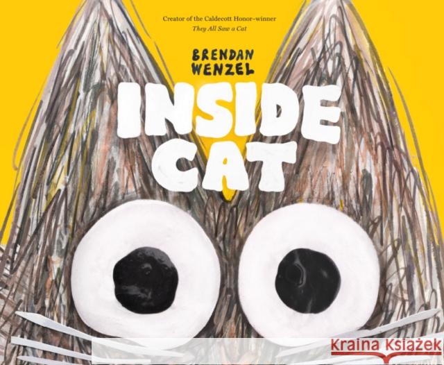 Inside Cat Brendan Wenzel 9781452173191