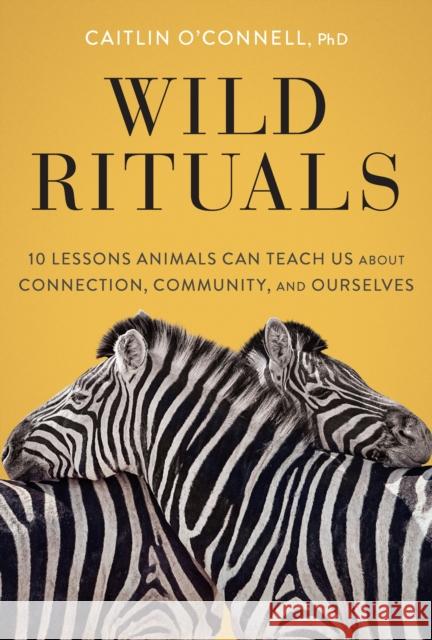 Wild Rituals: 10 Lessons Animals Can Teach Us About Connection, Community, and Ourselves Caitlin O'Connell 9781452184852