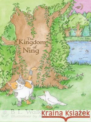 The Kingdom of Ning B. L. Walker 9781452516370 Balboa Press