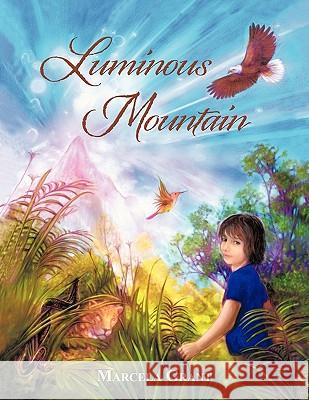 Luminous Mountain Marcela Grant 9781452534664