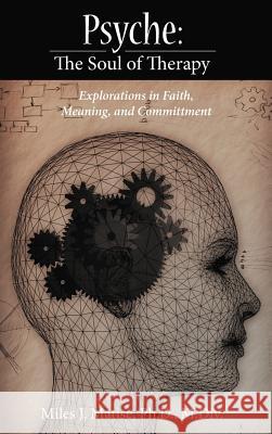 Psyche: The Soul of Therapy Explorations in Faith, Meaning, and Committment Matise Ph. D. M. DIV, Miles J. 9781452545226