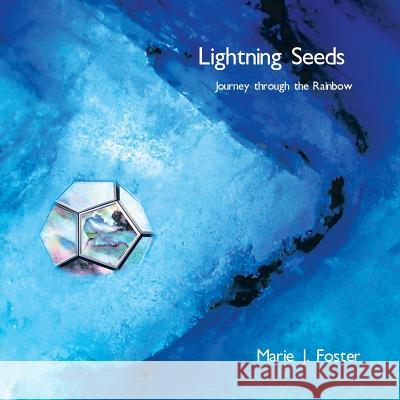 Lightning Seeds: Journey Through the Rainbow Marie J. Foster 9781452563404