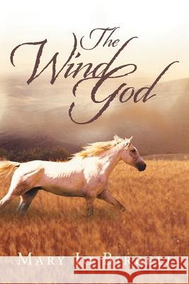 The Wind God Mary Jo Birrell 9781452577845