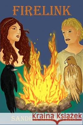 Firelink: The Firelink Chronicles Sandra DiMartino Michele Ferro 9781452840970 Createspace