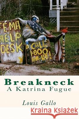 Breakneck: A Katrina Fugue Louis Gallo 9781452854281 Createspace