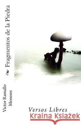 Fragmentos de la Piedra: Versos Libres Victor Ramall 9781452856827 Createspace Independent Publishing Platform