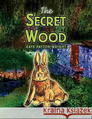 The Secret Wood Kaye Payton-Wright 9781453503218