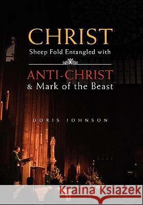 Christ Sheep Fold Entangled with Doris Johnson 9781453509234
