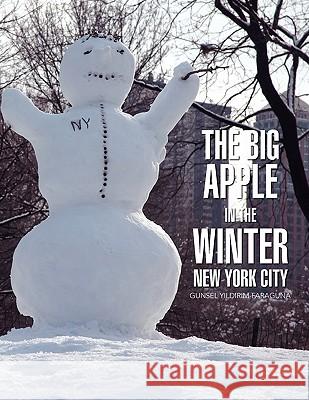 Big Apple In The Winter Yildirim-Faraguna, Gunsel 9781453522752 Xlibris Corporation