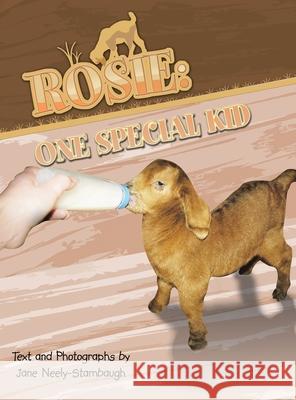 Rosie: One Special Kid: One Special Kid Jane Neely-Stambaugh 9781453524022 Xlibris Us