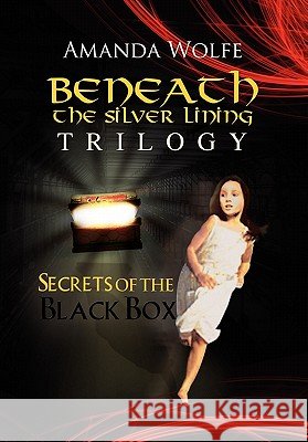 Beneath the Silver Lining Trilogy Amanda Wolfe 9781453527467