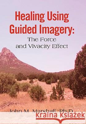 Healing Using Guided Imagery: The Force and Vivacity Effect Marshall, John M. 9781453528815 Xlibris Corporation