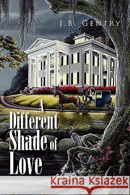 A Different Shade of Love J. B. Gentry 9781453533369