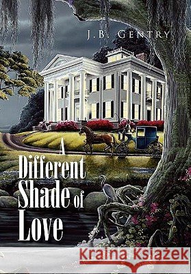 A Different Shade of Love J. B. Gentry 9781453533376