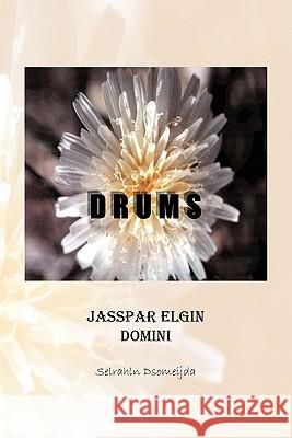 Drums Desiree Flowers 9781453556115 Xlibris Corporation