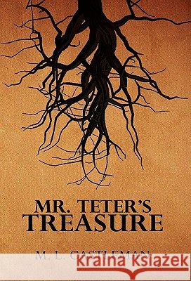 Mr. Teter's Treasure M. L. Castleman 9781453563151