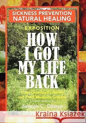 How I Got My Life Back Joseph C. Okoye 9781453569092 Xlibris Corporation