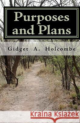 Purposes and Plans Gidget A. Holcombe Denise Bohart Brown 9781453663325 Createspace