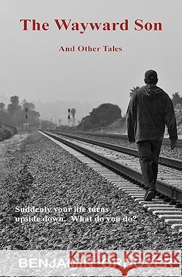 The Wayward Son and Other Tales Benjamin Ordover 9781453666883 Createspace