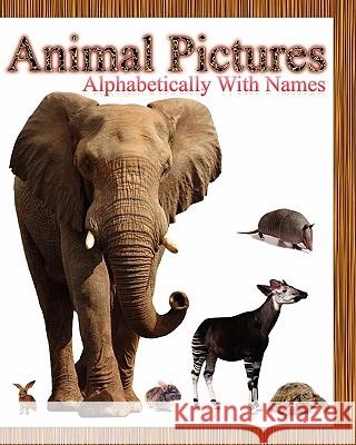 Animal Pictures Alphabetically with Names Dinesh Rajan 9781453686386 Createspace