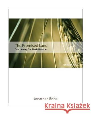 The Promised Land: Overcoming The Final Obstacles Brink, Jonathan 9781453693704 Createspace Independent Publishing Platform