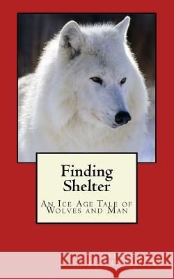 Finding Shelter from the Cold N. Robert Winters 9781453710401