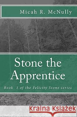 Stone the Apprentice: Book 1 of the Felicity Stone series McNully, Micah R. 9781453714584 Createspace