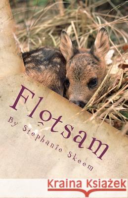 Flotsam Stephanie Skeem 9781453748978 Createspace