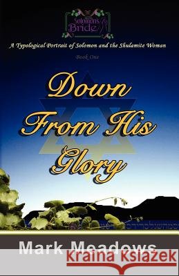 Down From His Glory: Solomon's Bride Volume One Meadows, Mark 9781453797242 Createspace