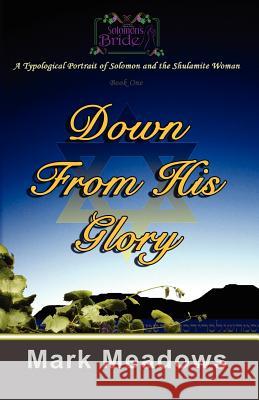 Down From His Glory: Solomon's Bride Volume One Meadows, Mark 9781453797242 Createspace