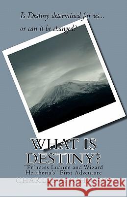 What Is Destiny?: 