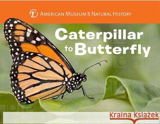 Caterpillar to Butterfly Melissa Stewart American Museum of Natural History 9781454914068 Sterling Children's Books