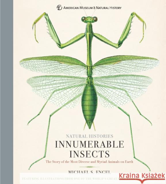 Innumerable Insects: The Story of the Most Diverse and Myriad Animals on Earth Michael S. Engel 9781454923237