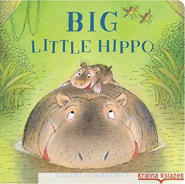 Big Little Hippo Valeri Gorbachev 9781454931317 Sterling Children's Books