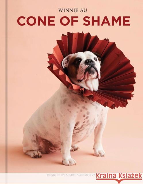 Cone of Shame Winnie Au 9781454949169 Union Square & Co.