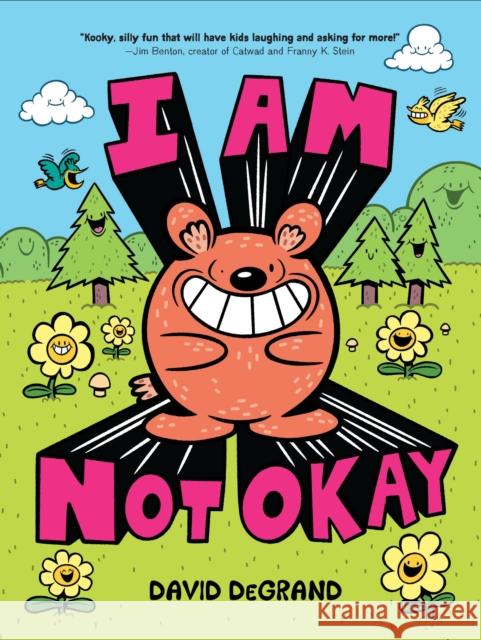 I Am Not Okay David DeGrand 9781454953319