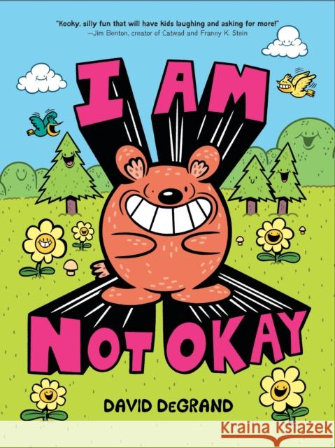 I Am Not Okay David DeGrand 9781454953326