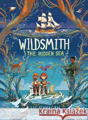 The Hidden Sea Liz Flanagan Joe Todd-Stanton 9781454957584 Union Square Kids