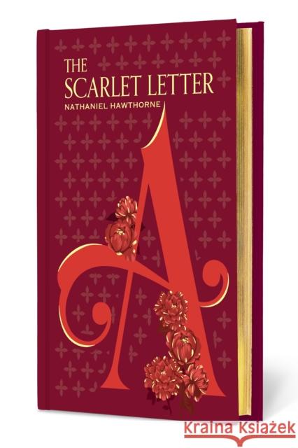The Scarlet Letter Nathaniel Hawthorne 9781454961635 Union Square & Co.