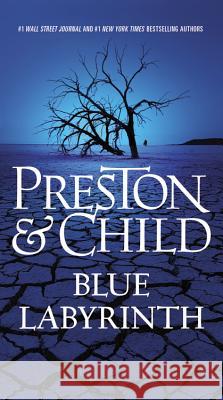 Blue Labyrinth Douglas Preston Lincoln Child 9781455525911 Vision