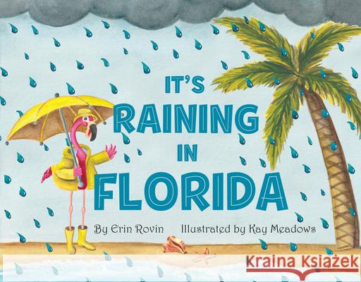 It's Raining in Florida Erin Rovin Kay Meadows 9781455627905