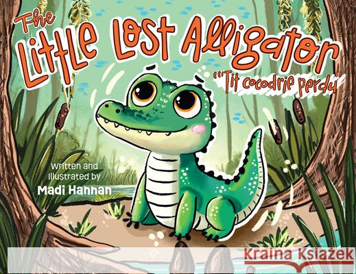 The Little Lost Alligator Madi Hannan 9781455628414 Pelican Publishing Company