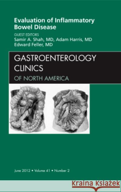 Evaluation of Inflammatory Bowel Disease, an Issue of Gastroenterology Clinics: Volume 41-2 Shah, Samir 9781455746279
