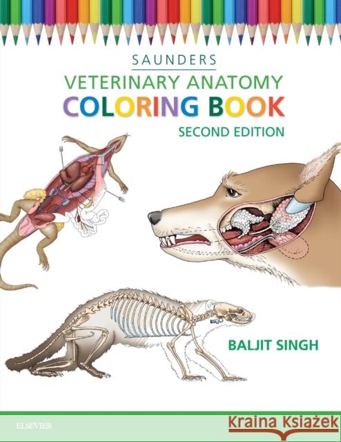 Veterinary Anatomy Coloring Book Saunders Saunders 9781455776849 Elsevier Health Sciences