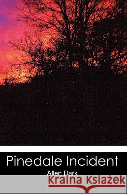 Pinedale Incident Allen Dark 9781456306472 Createspace